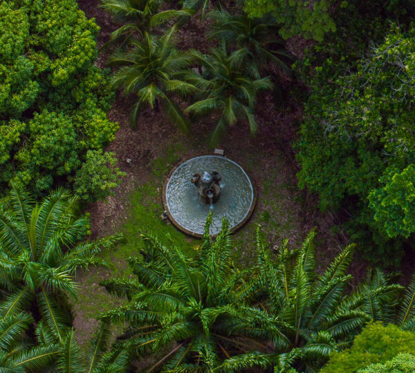 Eco-Luxury Land for Sale in Lepanto Nicoya Penninsula  – Ideal for Resorts or Villas  Valued at $3.9M, Listed at $3.3M