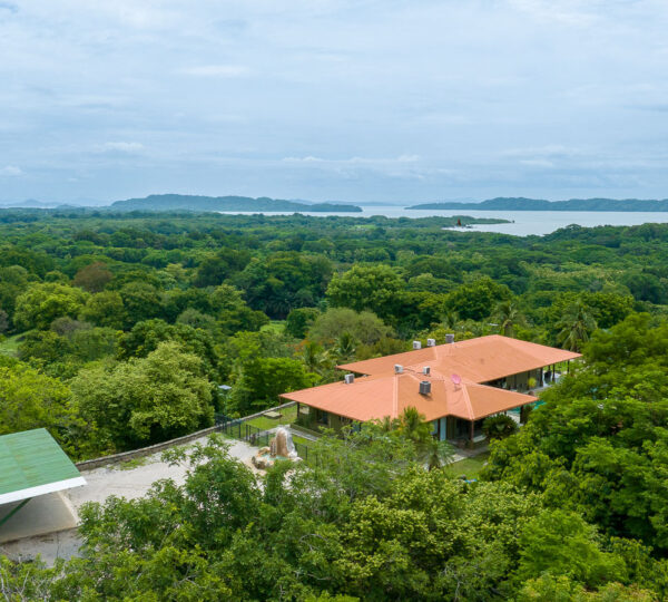 Eco-Luxury Land for Sale in Lepanto Nicoya Penninsula  – Ideal for Resorts or Villas  Valued at $3.9M, Listed at $3.3M