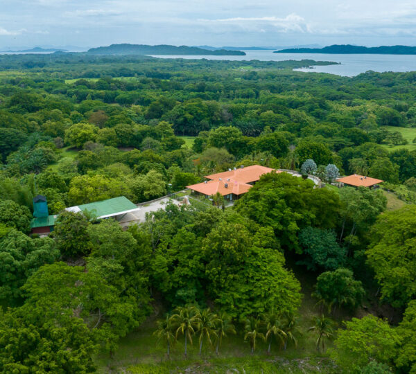 Eco-Luxury Land for Sale in Lepanto Nicoya Penninsula  – Ideal for Resorts or Villas  Valued at $3.9M, Listed at $3.3M