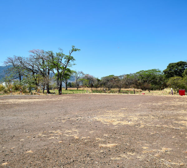  Commercial Property + Operating Business for Sale – Lindora, Santa Ana