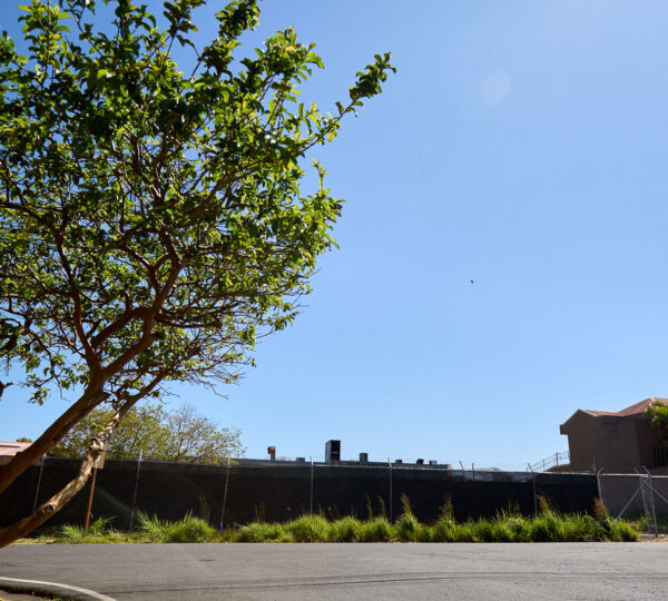 Dual Asset Investment: Boutique Plaza + Build-Ready Lot in Guachipelín