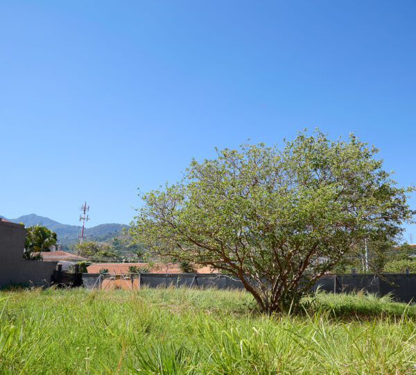 Dual Asset Investment: Boutique Plaza + Build-Ready Lot in Guachipelín