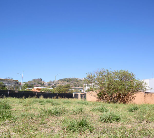 Dual Asset Investment: Boutique Plaza + Build-Ready Lot in Guachipelín