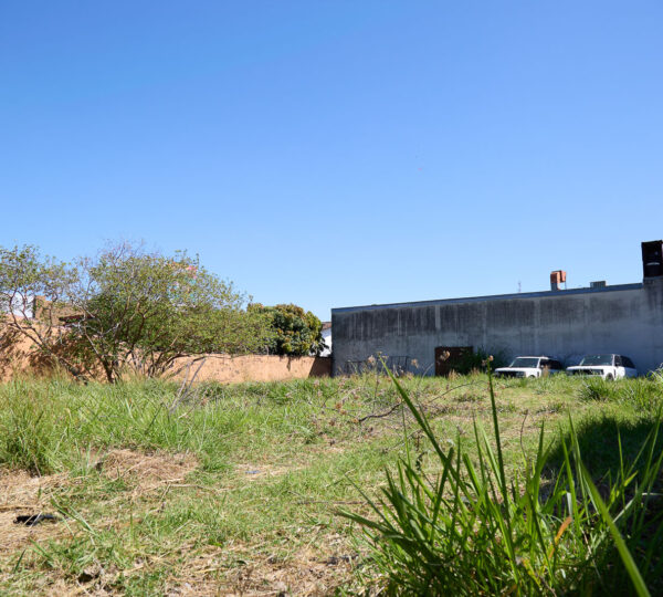 Dual Asset Investment: Boutique Plaza + Build-Ready Lot in Guachipelín