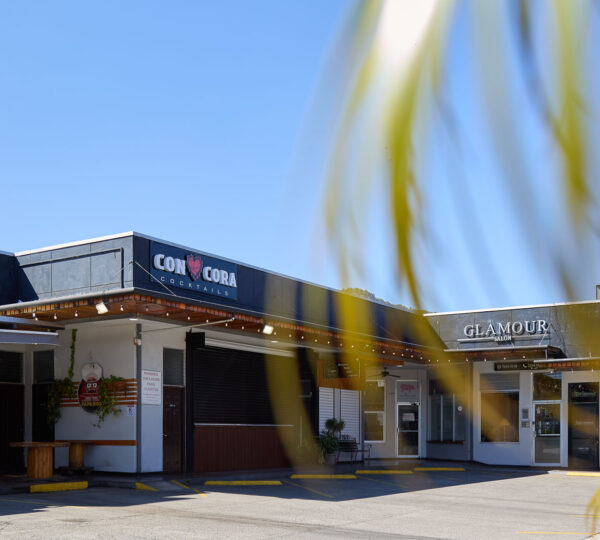 Dual Asset Investment: Boutique Plaza + Build-Ready Lot in Guachipelín
