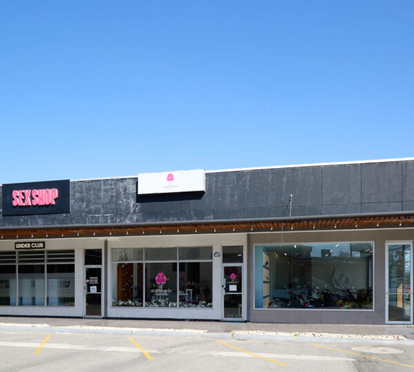 Dual Asset Investment: Boutique Plaza + Build-Ready Lot in Guachipelín
