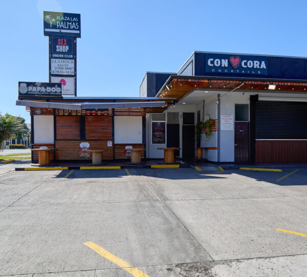 Dual Asset Investment: Boutique Plaza + Build-Ready Lot in Guachipelín